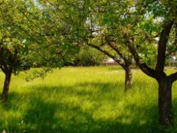 2013-06-08_Radtour_Iffeldorf-Aiderbichl (120).JPG